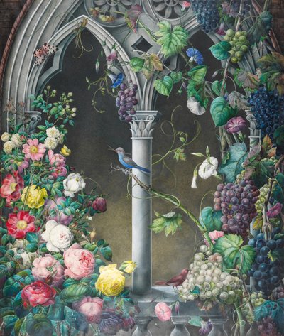 Ramos de rosas, ipomeas y vides, alrededor de un arco en un estilo gótico fantasioso, dos pájaros, especies desconocidas, y una polilla tigre de Eugene Joseph Prevost