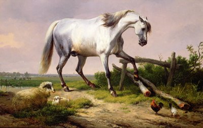 Un semental gris con ovejas y aves de corral de Eugene Joseph Verboeckhoven