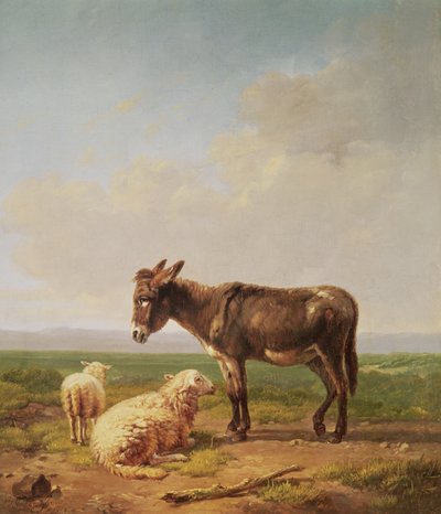 Asno y Ovejas, 1849 de Eugene Joseph Verboeckhoven