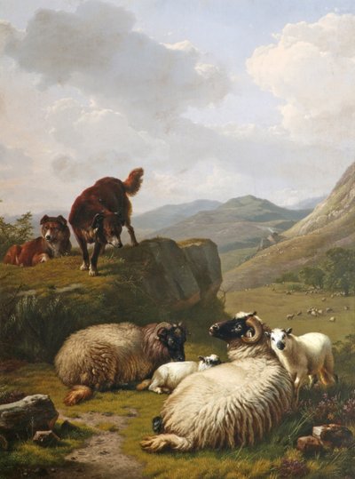 Ovejas y perros de Eugene Joseph Verboeckhoven