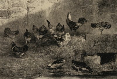 Gallinas y patos de Eugene Leroux