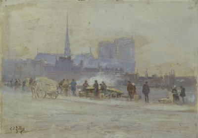 Notre-Dame, vista desde el Quai de l
