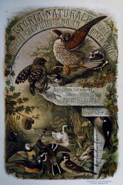 Página del título de Historia Natural de las Aves que anidan en Lombardía, por Eugenio Bettoni (1845-1898), grabado por Oscar Dressler, Italia de Eugenio Bettoni, Oscar Dressler