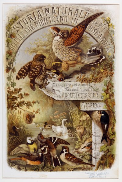 Frontispicio de Historia natural de las aves que anidan en Lombardía (Cromolitografía) de Eugenio and Dressler Oscar  Bettoni
