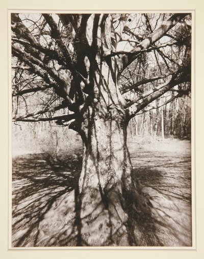 Haya de Eugène Atget