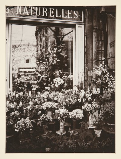 Florería -37 (Florería) de Eugène Atget