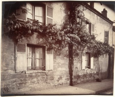 Glicina (Wisteria), Ch?tillon de Eugène Atget