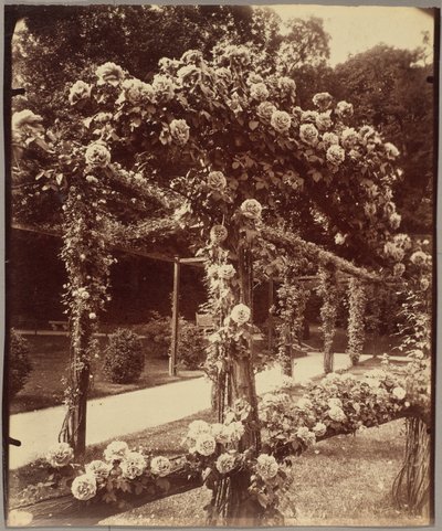 [Jardin de Bagatelle] de Eugène Atget