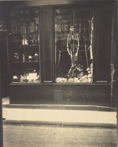Naturalista, rue de l