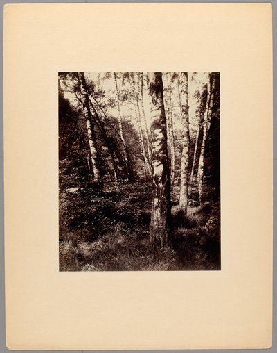 Parque de Saint-Cloud de Eugène Atget