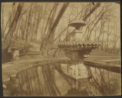 Parc de Saint Cloud (Parque de Saint Cloud) de Eugène Atget