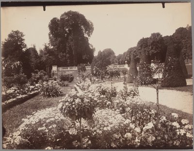 Saint-Cloud de Eugène Atget