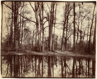 Saint-Cloud de Eugène Atget