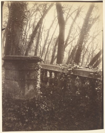 Parque de Saint-Cloud, París de Eugène Atget