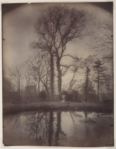 The Park at Sceaux [April 1925, 7a.m.] de Eugène Atget