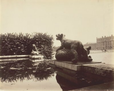Versalles, Fuente del Punto del Día, Tigre derribando un oso por Houzeau de Eugène Atget