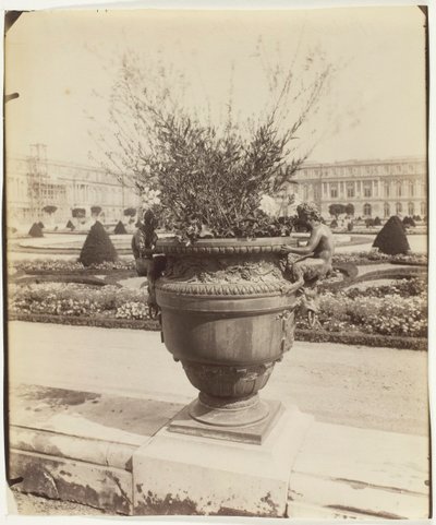 Versalles, Jarrón por Ballin, 1902 de Eugène Atget