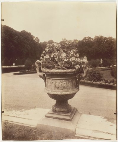 Versalles, jarrón por Ballin de Eugène Atget