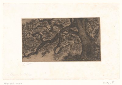Kastanjetakken Ramas de roble (título sobre el objeto) Pequeñas vistas del bosque de Fontainebleau (título de serie) de Eugène Bléry (signed by artist)