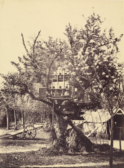 Casa de palomas en el árbol de Eugène Colliau