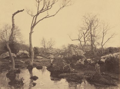 Bella Cruz de Eugène Cuvelier
