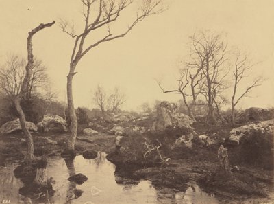 Belle Croix, c. 1858 (foto) de Eugène Cuvelier