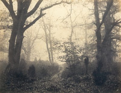 [Bosque de Fontainebleau], principios de 1860 de Eugène Cuvelier