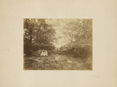 [Estudio del paisaje] de Eugène Cuvelier