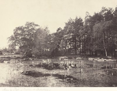 Pantano en Piat (Meseta de Belle-Croix) de Eugène Cuvelier
