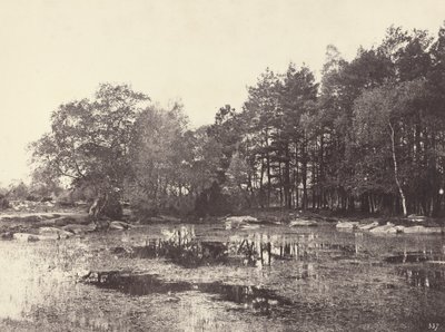 Pantano en el Plateau Belle-Croix de Piat, c. 1863 de Eugène Cuvelier