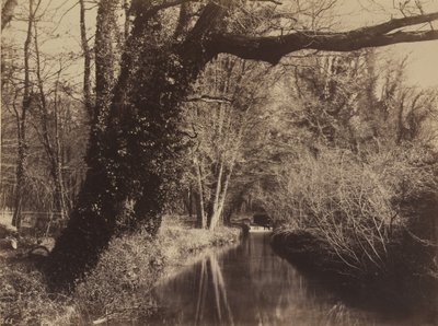 Parque de Courances de Eugène Cuvelier