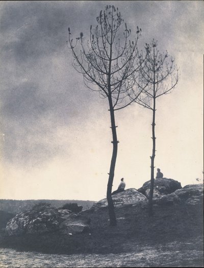 Cerca de la Caverna, Terreno Quemado, principios de 1860 de Eugène Cuvelier