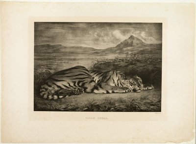 Tigre de Bengala de Eugène Delacroix