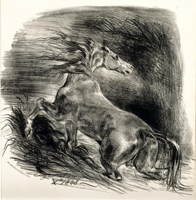 Caballo salvaje de Ferdinand Victor Eugene Delacroix