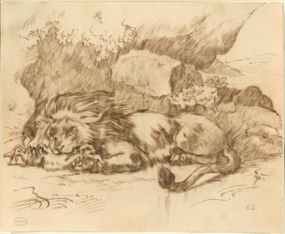 León devorando un conejo de Eugène Delacroix