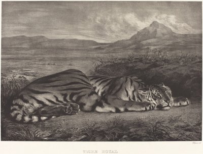 Tigre real de Eugène Delacroix