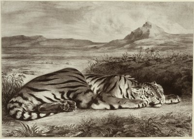 tigre real de Eugène Delacroix