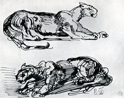 Estudios de panteras, 1913 de Ferdinand Victor Eugene Delacroix