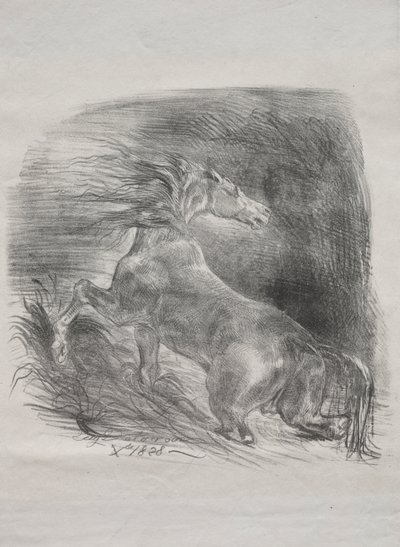 El Caballo Salvaje, o Caballo Asustado Saliendo del Agua de Eugène Delacroix