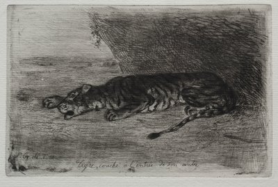 Tigre Durmiendo en la Entrada de su Guarida de Eugène Delacroix