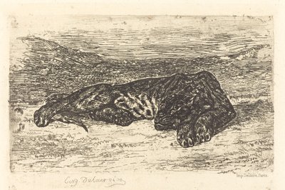 Tigre durmiendo en el desierto (Tigre couché dans le désert) de Eugène Delacroix
