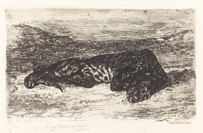 Tigre Durmiendo en el Desierto, c. 1830 de Eugène Delacroix