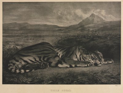 Tigre real de Eugène Delacroix
