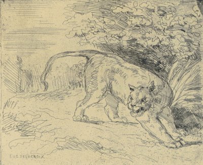 Tigre en Arrêt de Eugène Delacroix
