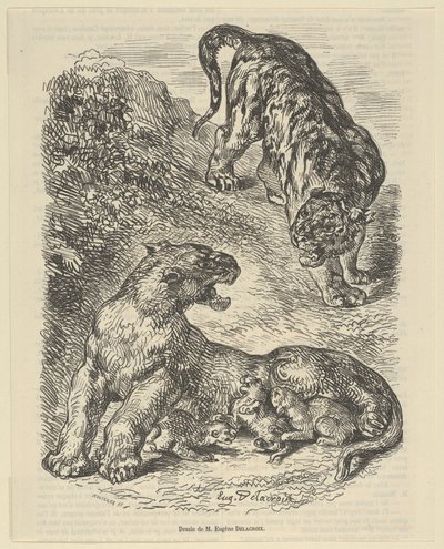 Tigresa atacada por un tigre mientras amamanta a sus crías, 1853 de Eugène Delacroix