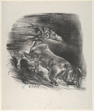 Caballo salvaje, 1828 de Eugène Delacroix