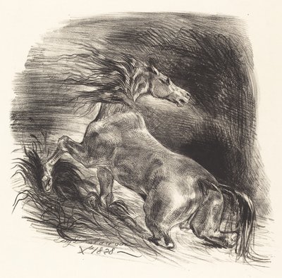 Caballo salvaje saliendo del agua, 1828 de Eugène Delacroix