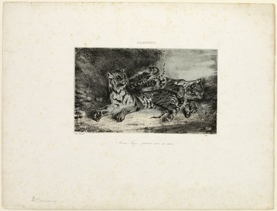 Joven Tigre Jugando con su Madre de Eugène Delacroix