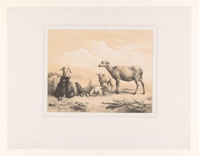 Cabra, oveja y dos corderos
Varios animales (título de la serie)
Études d