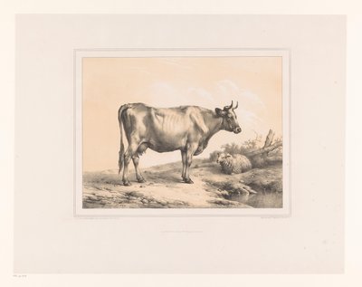 Vaca y oveja en un paisaje
Varios animales (título de la serie)
Études d